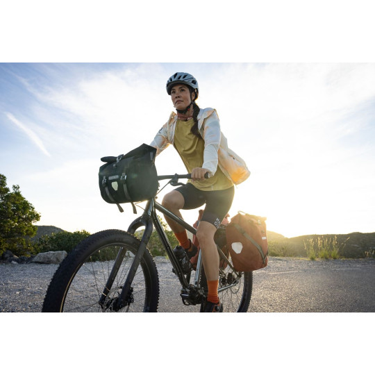 ORTLIEB SAKWA TYLNA BACK-ROLLER PLUS MOSS GREEN 20+3L QL2.2.