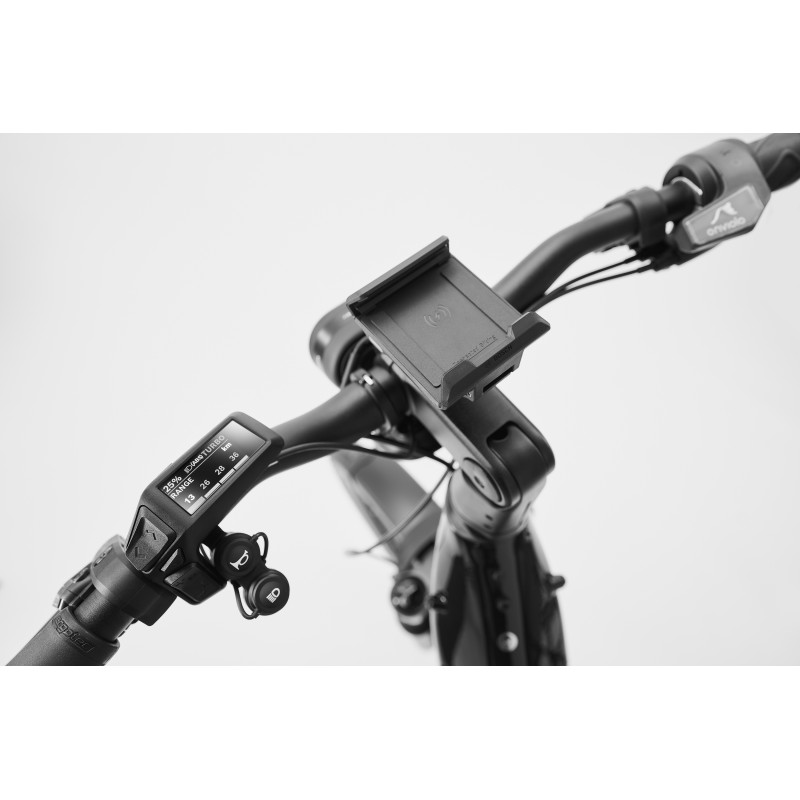 Rower DIAMANT Suvea Style Speed
