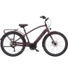 Rower ELECTRA Townie Path Go! 10D EQ z ramą w wersji męskiej