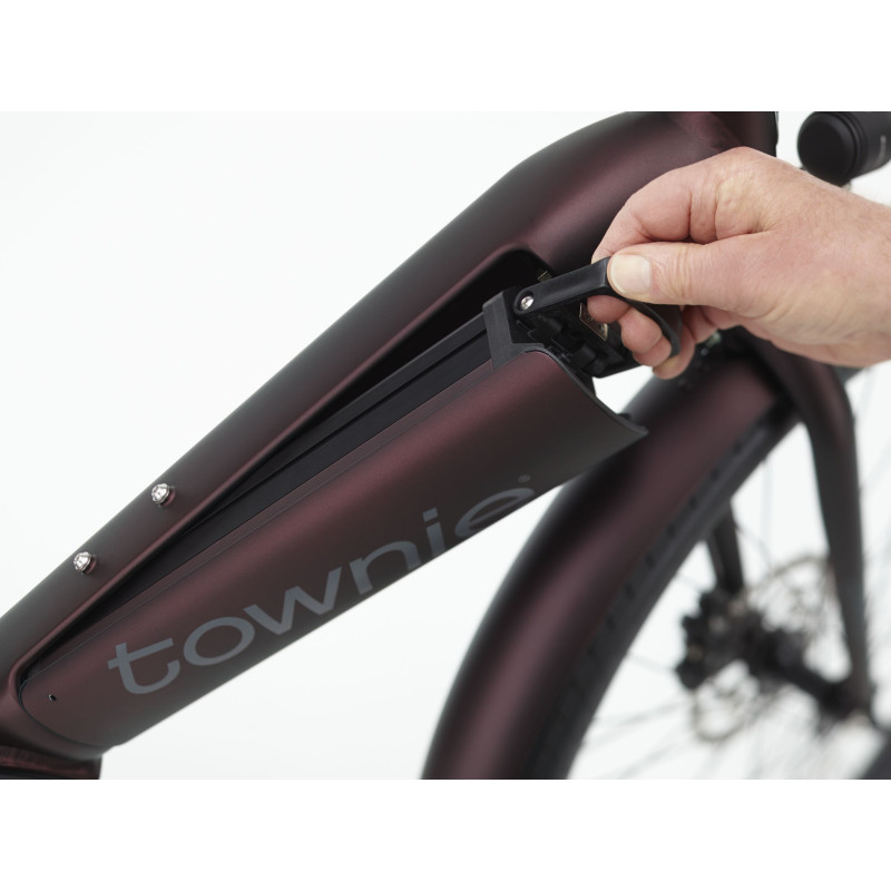 Rower ELECTRA Townie Path Go! 10D EQ z ramą w wersji męskiej