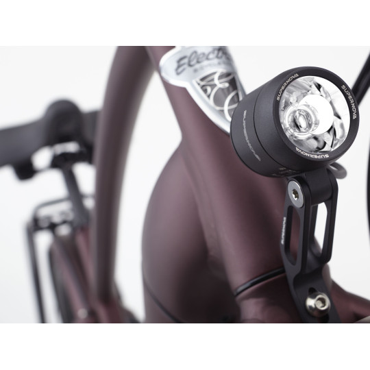 Rower ELECTRA Townie Path Go! 10D EQ z ramą w wersji męskiej