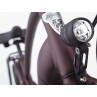 Rower ELECTRA Townie Path Go! 10D EQ z ramą w wersji męskiej