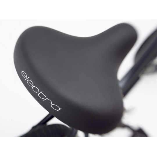 Rower ELECTRA Townie Path Go! 10D EQ z ramą w wersji męskiej