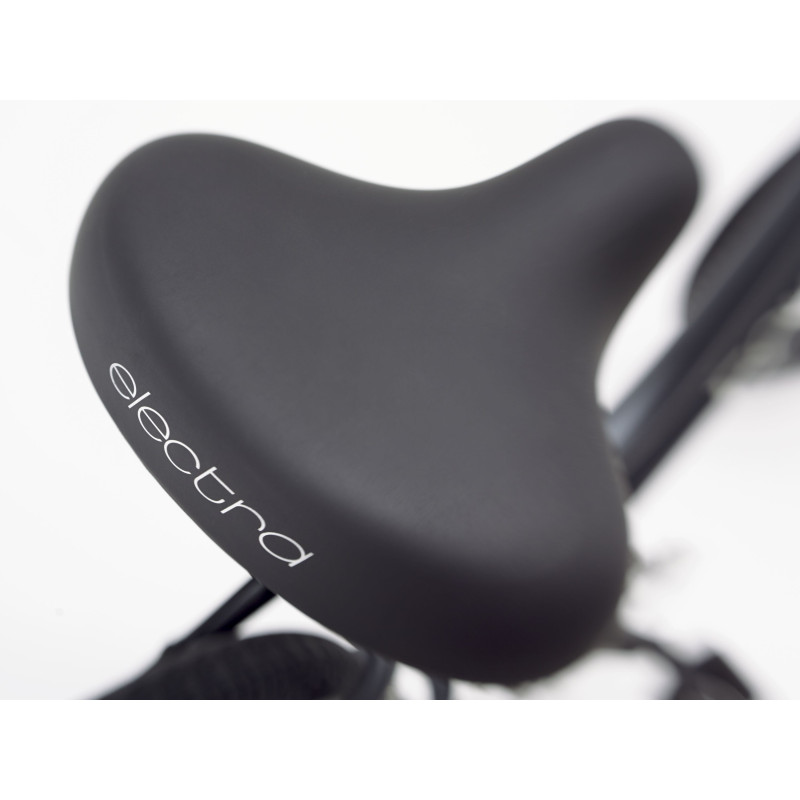 Rower ELECTRA Townie Path Go! 10D EQ z ramą w wersji męskiej