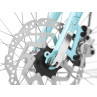Rower ELECTRA Townie Go! 5i z ramą w wersji damskiej