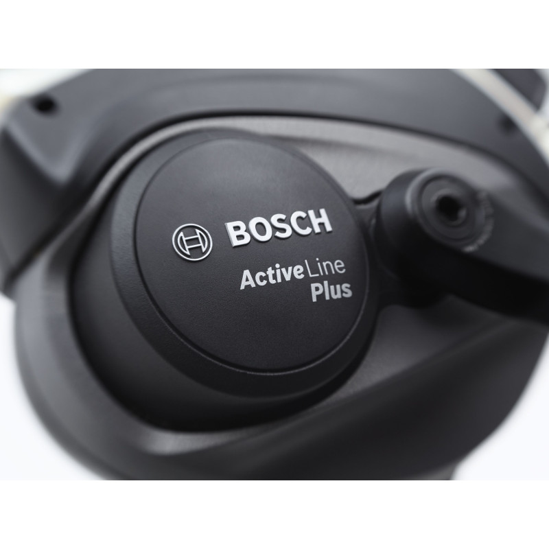 Rower ELECTRA Townie Go! 5i z ramą w wersji męskiej
