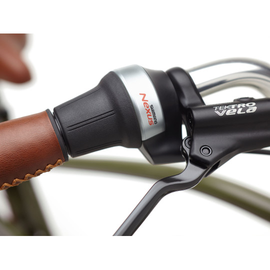 Rower ELECTRA Townie Go! 5i z ramą w wersji męskiej