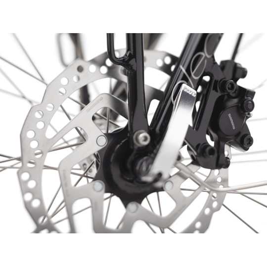 Rower ELECTRA Townie Commute Go! 5i z ramą w wersji męskiej