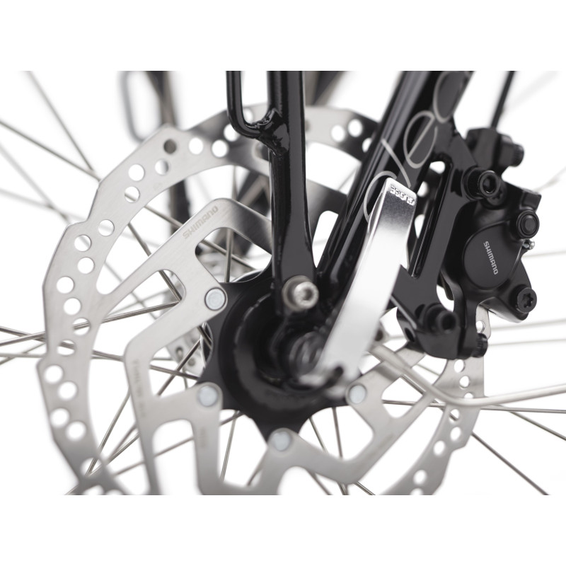 Rower ELECTRA Townie Commute Go! 5i z ramą w wersji męskiej
