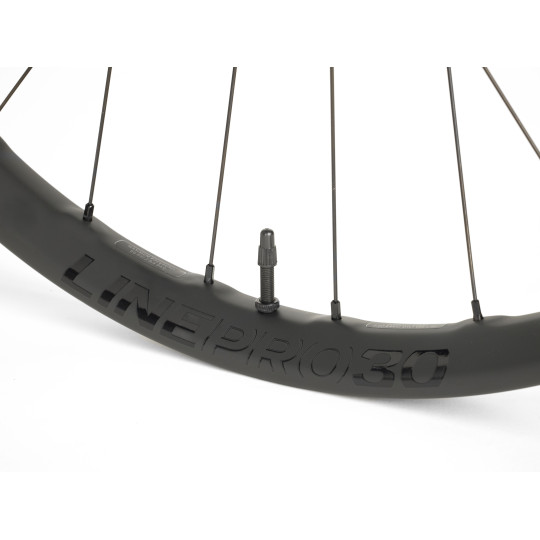 Koło (tył) BONTRAGER Koło górskie Bontrager Line Pro 30 TLR Boost 29