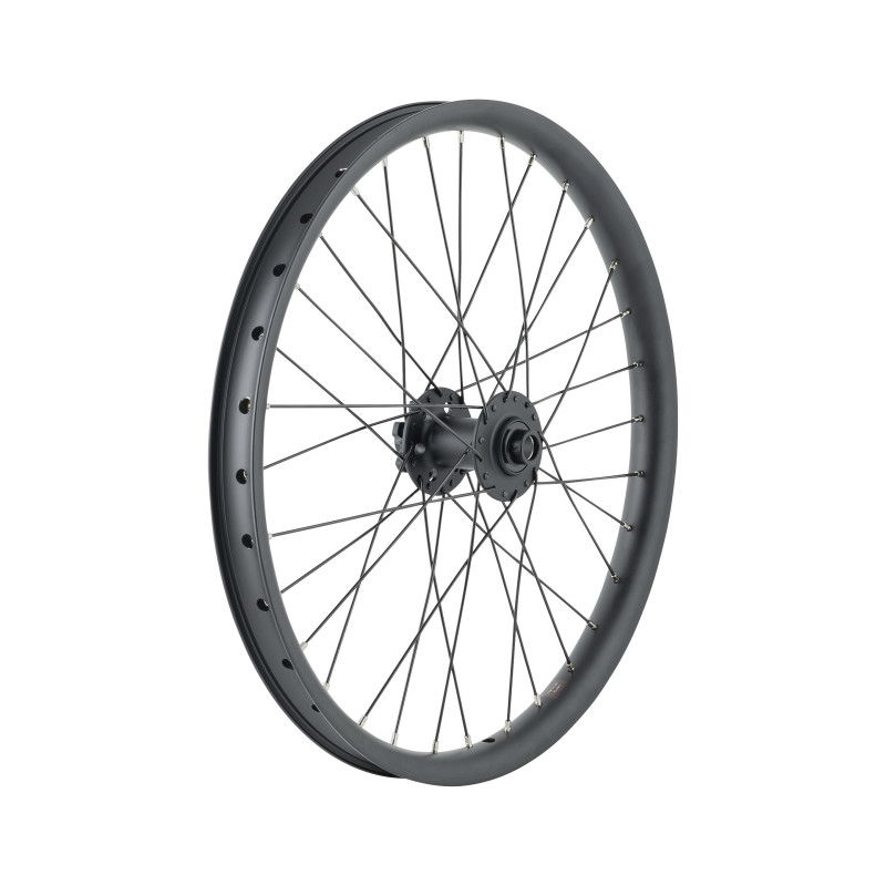 Koło (przód) TREK Trek Cargo Bike 6-Bolt Disc 20˝ Wheel