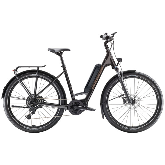 Rower DIAMANT Zing Trip Core (z niską ramą)