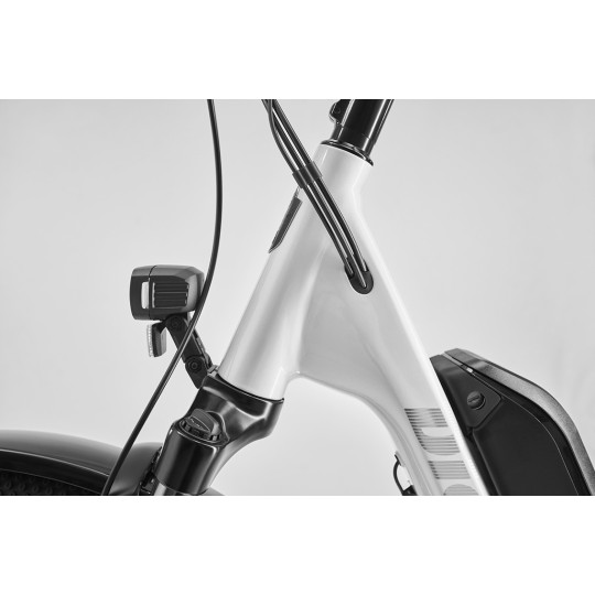 Rower DIAMANT Zing Trip Core.II 540