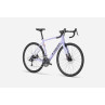 Rower TREK Domane AL 2 Gen 4